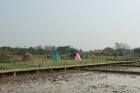 field_trip_p1